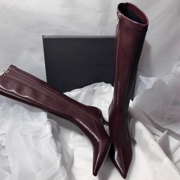 Designer Pointed Toe Women Str - Women'S Fashion Winter 2025 のレビューと価格