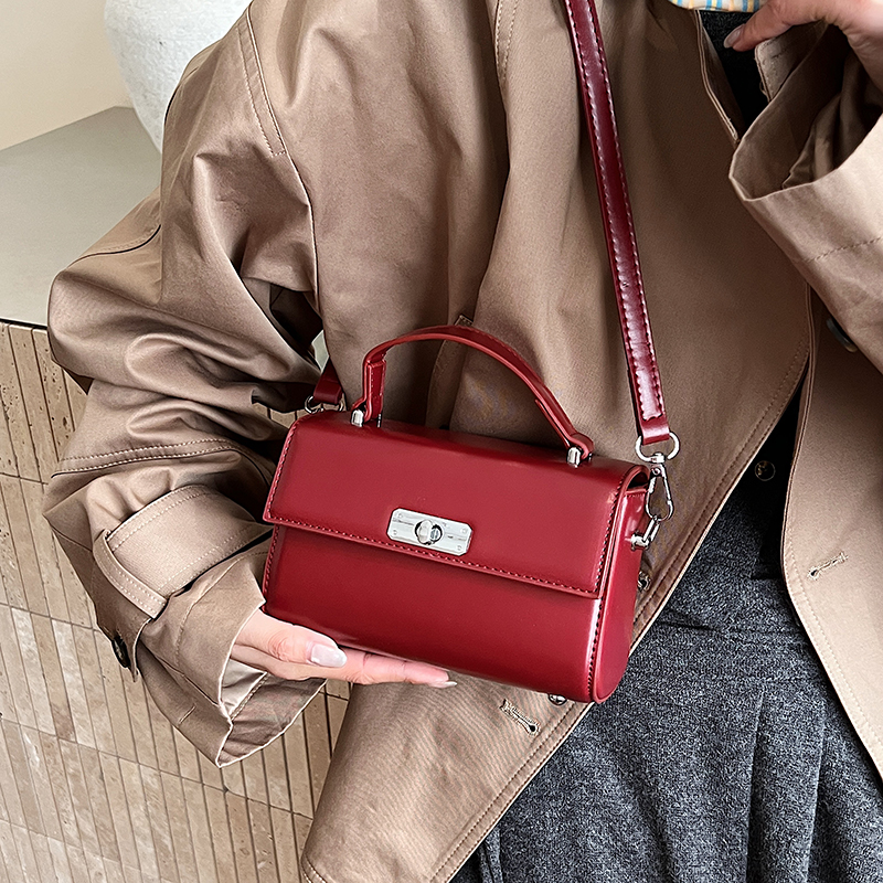 Exquisite Mini Top-handle Bags - Women'S Fashion Boutique のレビューと価格